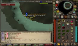 Screenshot of Berserker ring