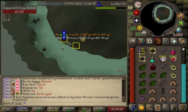 Screenshot of Berserker ring