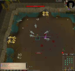 Screenshot of Scurrius' spine
