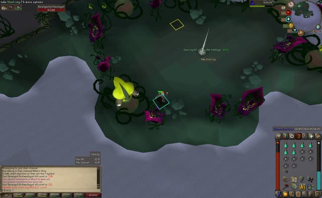 Screenshot of Steel ring