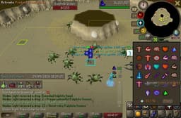 Screenshot of Dragon 2h sword