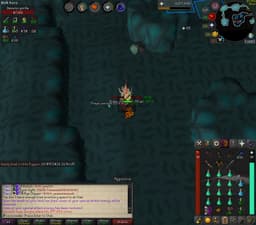 Screenshot of Zenyte shard