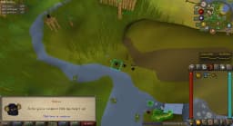 Screenshot posted for Monkey Laps (Pet completes)