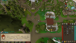 Screenshot posted for Prifddinas Agility Course Laps