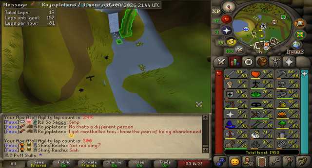 Screenshot uploaded by 0 PvM Skills