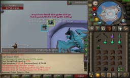 Screenshot posted for Vorkath Heads or Vorkath Unique