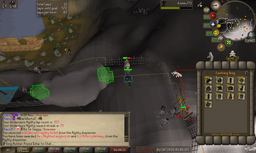 Screenshot posted for GP From Wilderness Agility Course