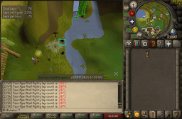 Screenshot posted for Monkey Laps (Pet completes)
