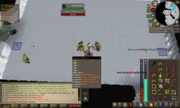 Screenshot posted for God Wars Hilt set