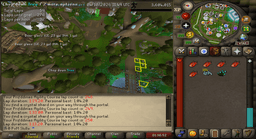 Screenshot posted for Prifddinas Agility Course Laps