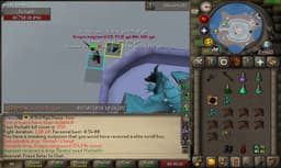 Screenshot posted for Vorkath Heads or Vorkath Unique