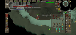 Screenshot posted for DKS Rings (Pet = 3 Rings)