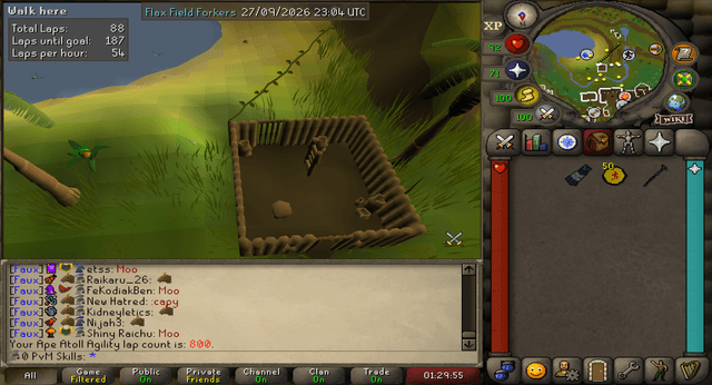Screenshot uploaded by 0 PvM Skills