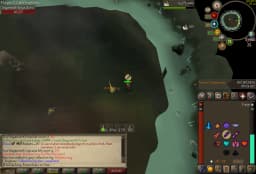 Screenshot posted for DKS Rings (Pet = 3 Rings)