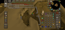 Screenshot posted for Giant club OR Bryophyta's essense