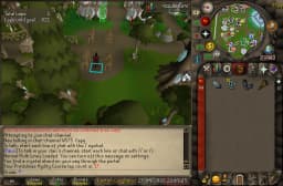 Screenshot posted for Prifddinas Agility Course Laps