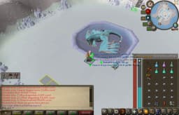Screenshot posted for Vorkath Heads or Vorkath Unique