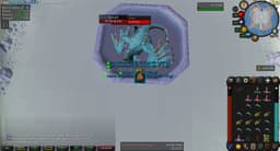 Screenshot posted for Vorkath Heads or Vorkath Unique