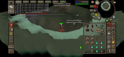 Screenshot posted for DKS Rings (Pet = 3 Rings)