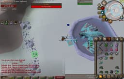 Screenshot posted for Vorkath Heads or Vorkath Unique