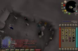 Screenshot posted for GP From Wilderness Agility Course