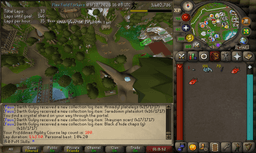 Screenshot posted for Prifddinas Agility Course Laps