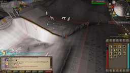 Screenshot posted for GP From Wilderness Agility Course