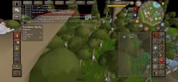 Screenshot posted for Prifddinas Agility Course Laps