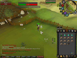 Screenshot posted for Beef Pets