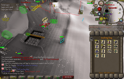 Screenshot posted for GP From Wilderness Agility Course
