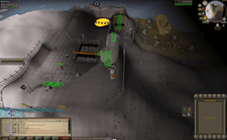 Screenshot posted for GP From Wilderness Agility Course