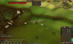 Screenshot posted for Beef Pets