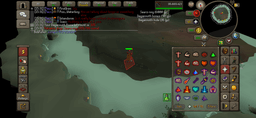 Screenshot posted for DKS Rings (Pet = 3 Rings)