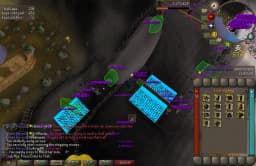 Screenshot posted for GP From Wilderness Agility Course
