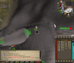 Screenshot posted for GP From Wilderness Agility Course