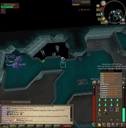 Screenshot posted for Chewed bones (or 1x dragon full helm)