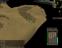 Screenshot posted for GP From Wilderness Agility Course