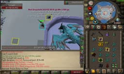 Screenshot posted for Vorkath Heads or Vorkath Unique