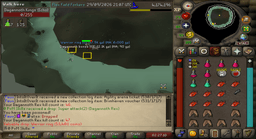 Screenshot posted for DKS Rings (Pet = 3 Rings)
