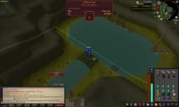 Screenshot posted for Pet Kraken