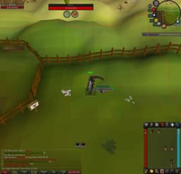 Screenshot posted for Beef Pets