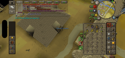Screenshot posted for Pharaoh Sceptre (Pet completes)