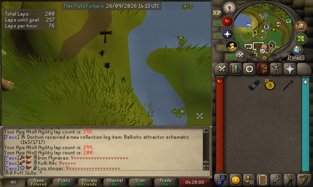 Screenshot uploaded by 0 PvM Skills