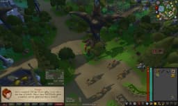 Screenshot posted for Prifddinas Agility Course Laps