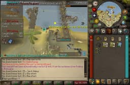 Screenshot posted for Tome of Water or Fire