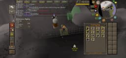 Screenshot posted for GP From Wilderness Agility Course