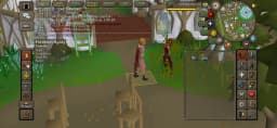 Screenshot posted for Prifddinas Agility Course Laps